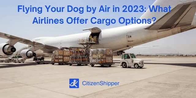 cargo options